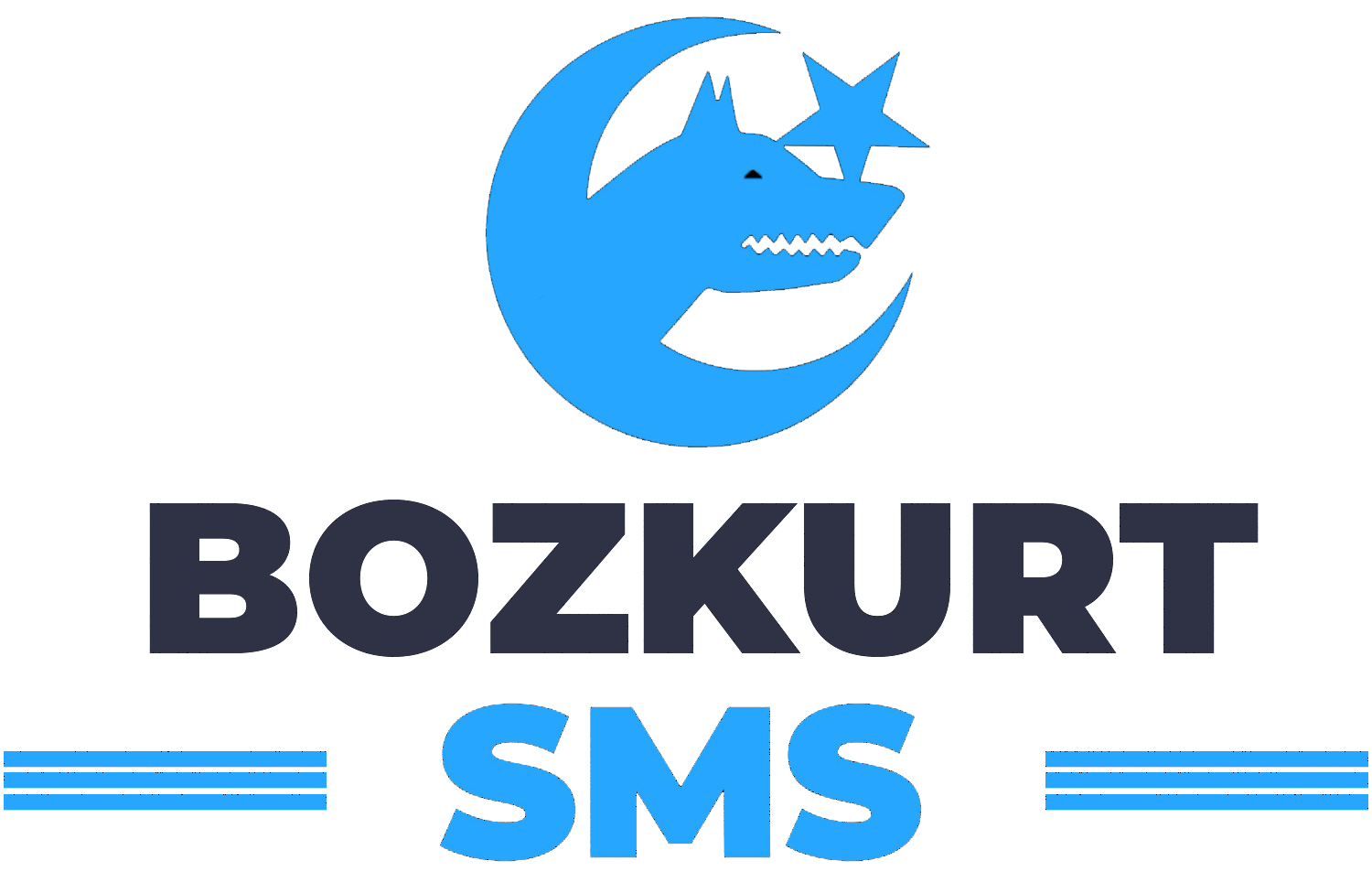 www.bozkurtsms.com.tr